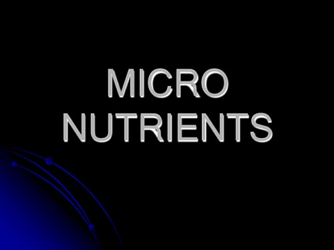  Micro Nutrient