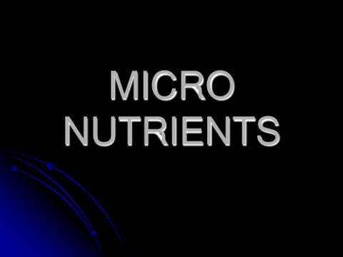  Micro Nutrient